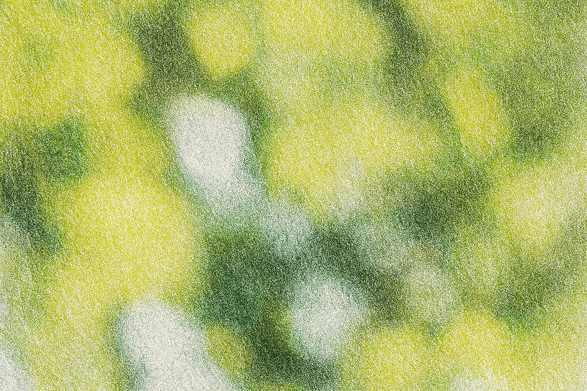 Visualizing Tree Growth Using L-Systems